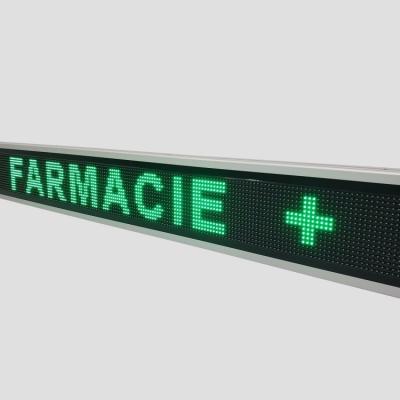 Reclame care nu dorm niciodată – cum rămâi vizibil 24/7