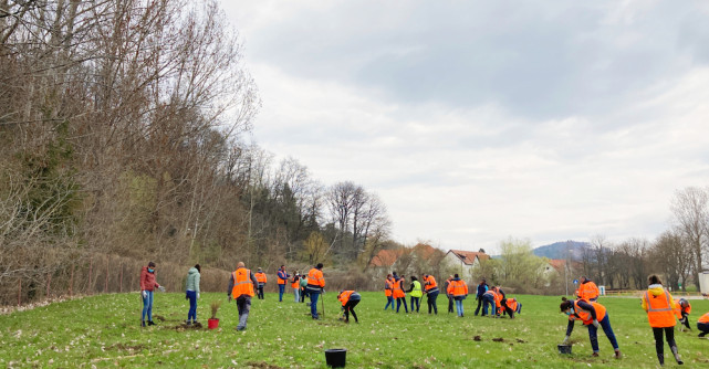 DS Smith își extinde implicarea în dezvoltarea comunității din Zărnești prin noi inițiative cheie