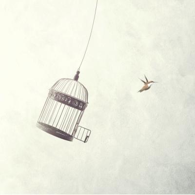 Părerea lui Radu: Admir capacitatea oamenilor de a se simți liberi