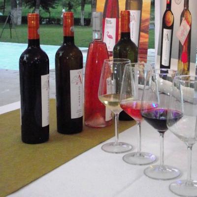 Carte si vin, eveniment Ambrosio by Vincon Romania