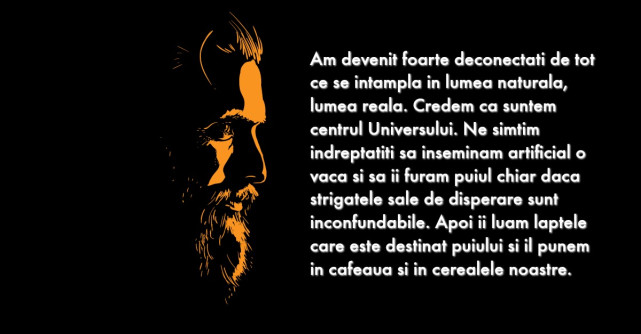 Joaquin Phoenix si cel mai emotionant discurs de la Premiile Oscar 2020