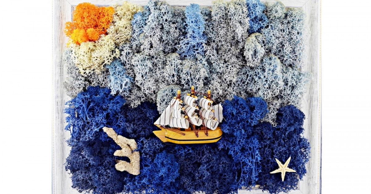 Poza 2 din 4 gradina zanelor