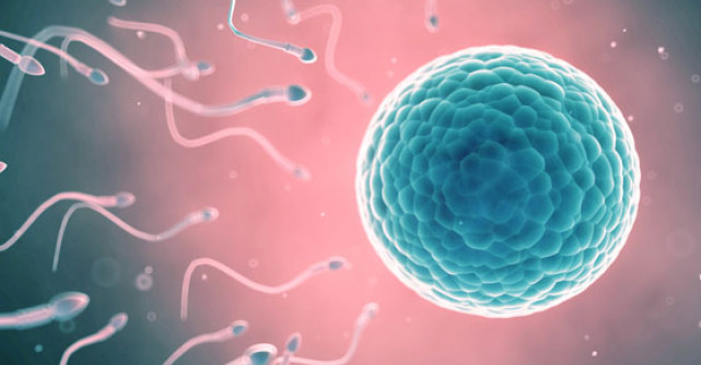 Un nou test poate DUBLA sansele de reusita a fertilizarii in vitro