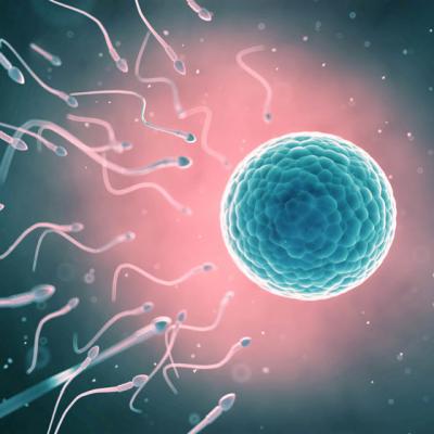 Un nou test poate DUBLA sansele de reusita a fertilizarii in vitro