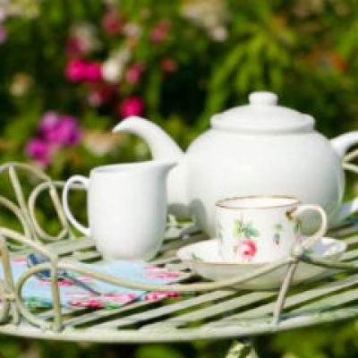 6 Plante medicinale pentru un ficat sanatos