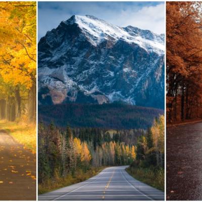 Alege o cărare de toamnă și află ce îți rezervă finalul de an 2020