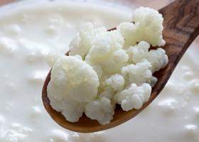 Beneficiile Chefirului pentru sănătate: dovedite prin studii