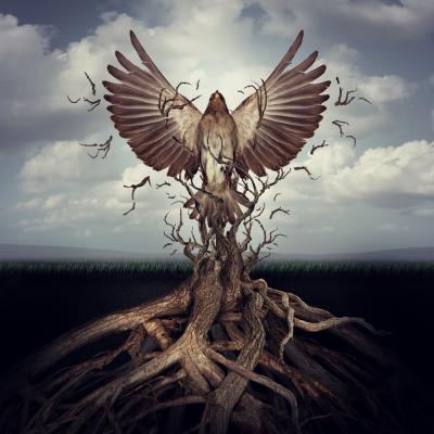 6 semne care arata ca esti pe drumul cel bun