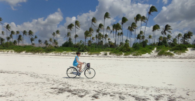 Ramona Florentina Fugaciu: Gandurile sunt instrumentele prin care plantam semintele viitoarelor intamplari