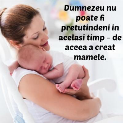 Aceste zicale minunate te pot ajuta cand iti este greu