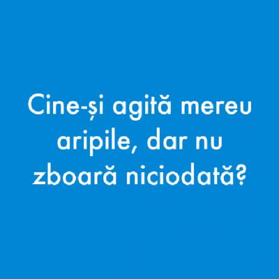 10 Ghicitori pentru copii care dau bătăi de cap până și adulților