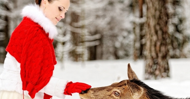 Cele mai frumoase citate de iubire: Alfabetul dragostei dupa Nicolae Labis