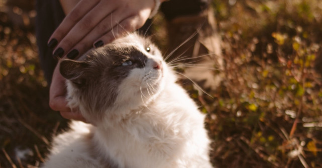 17 citate celebre pentru a-ți reaminti de puterea bunătății