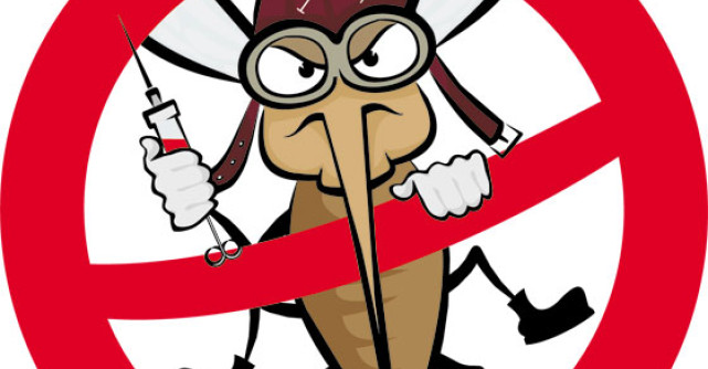 Intepaturile de tantar: Cele mai bune 16 remedii naturiste 