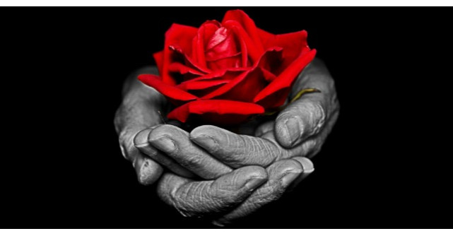 Ce inseamna sa iubesti din toata inima?