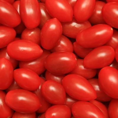 Adevarul despre rosiile cu tugui! Ce sunt, de fapt. Mai mananci?