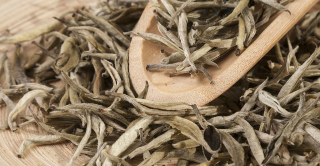 Ceaiul alb: beneficii pentru sănătate