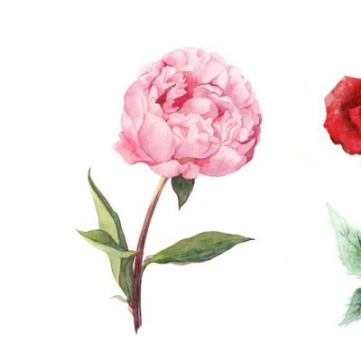 Alege o floare si afla tot ce nu stiai despre personalitatea ta