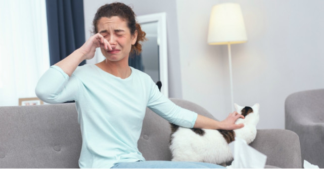 Cum scapi de alergenii din locuinta ta: 5 cauze si 10 sfaturi