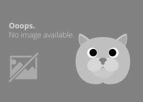 Povesti despre sex: Bate saua sa priceapa organu' statului