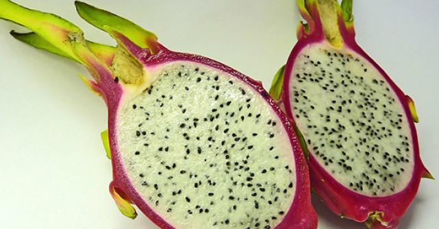 Fructul de cactus sau MEDICAMENTUL cu tepi: beneficii in sanatate