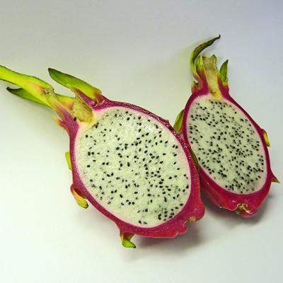 Fructul de cactus sau MEDICAMENTUL cu tepi: beneficii in sanatate