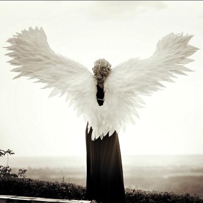 7 semne de la ingerul tau pazitor