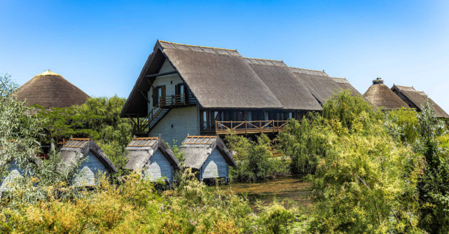 Delta Dunării, destinația de top pentru turiștii îndrăgostiți de natură