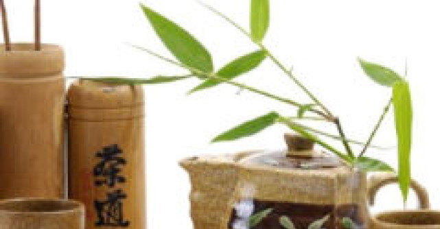 Atentie: Plante interzise pentru gravidute!