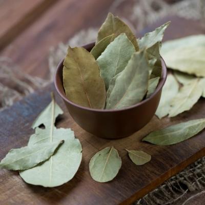 Beneficiile incredibile ale frunzelor de dafin. Se poate face si ceai din ele