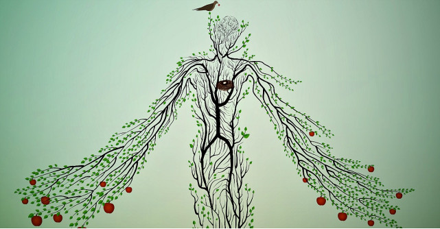 Oracolul roadelor: ce dar al naturii te reprezinta?