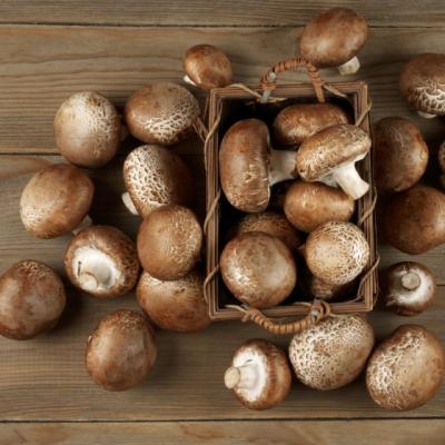 Ciuperca lui Dumnezeu, aliat puternic impotriva cancerului