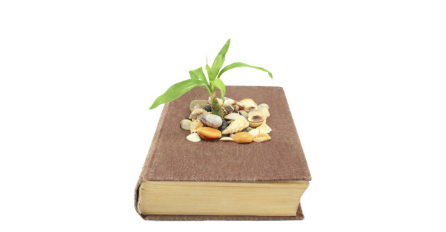 Meditatie profunda pentru vindecare