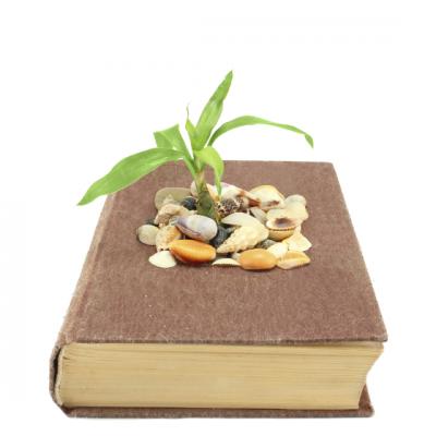 Meditatie profunda pentru vindecare