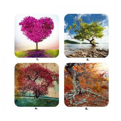 Testul celor 6 copaci de poveste! Afla ce personalitate ai