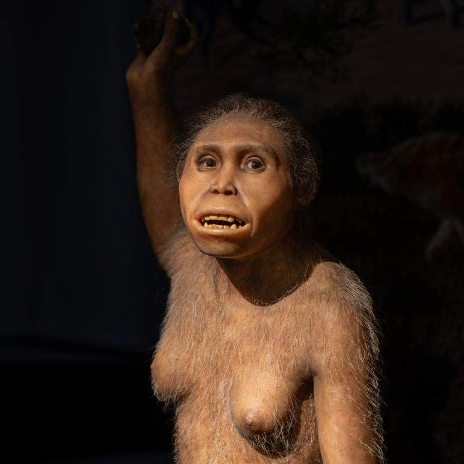 Cum arăta Lucy, strămoașa tuturor oamenilor: Fosila de Australopithecus care rescrie tot ce credeam despre originile noastre