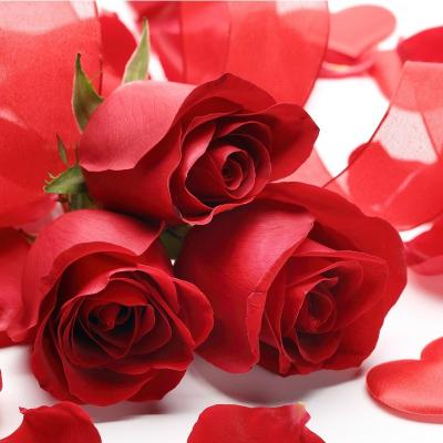 Care este modul ideal de a-ti petrece Valentine's Day in functie de zodiacul floral