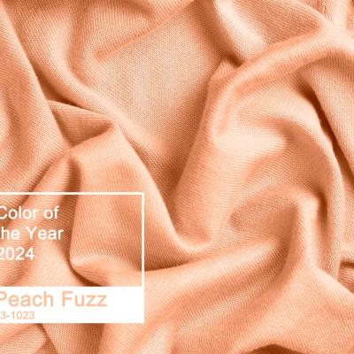 Peach Fuzz: Culoarea anului 2024 în modă