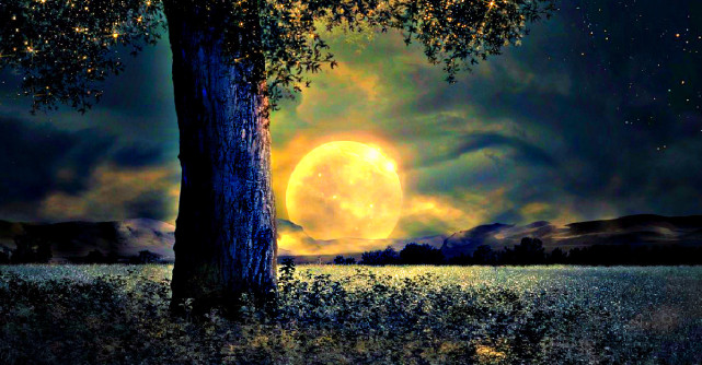 Pe 23 noiembrie va rasari ultima Luna Noua a toamnei 2022 pentru a ne pregati pentru un nou inceput in viata