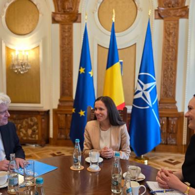 Prima Doamnă a României, Mirabela Grădinaru, s-a întâlnit marți cu o delegație UNICEF