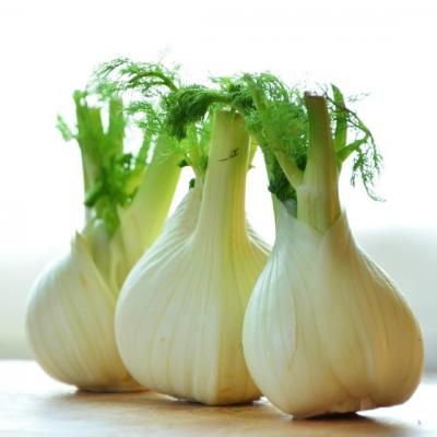 Efectele uimitoare ale feniculului. Putini stiu cat este de eficient!