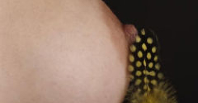 Top 5 Lucruri pe care nu le stiai despre sani