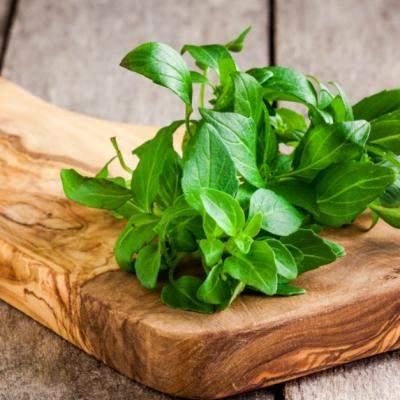 Busuiocul - planta magică. Tu ştii ce beneficii are?