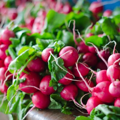 Ridichile, o minune a primaverii. Tu cat de des le consumi?