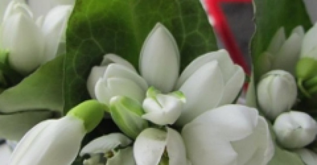 Astrologie: Horoscop de martisor