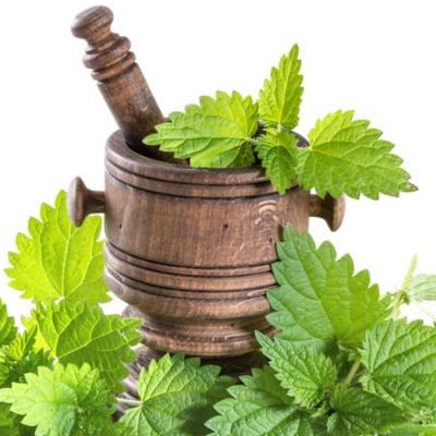 Secretele ceaiului de urzica