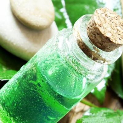  Scapa de tulburari digestive - lista enzimelor naturale si extractelor din plante gastroprotectoare