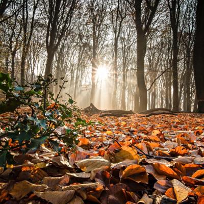 Cum alegi un parfum pentru sezonul de toamnă