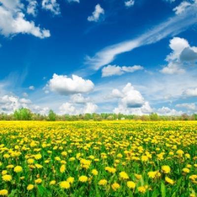 (P) O noua solutie pentru tratarea depresiei, panicii, anxietatii si stresului