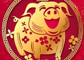 2022, Anul Tigrului de Apa: Horoscop chinezesc pentru zodia Porc